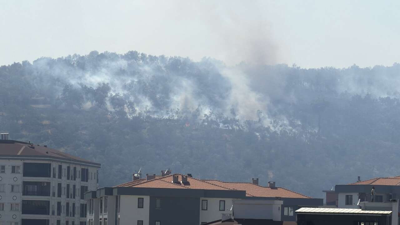 kazdaglari
