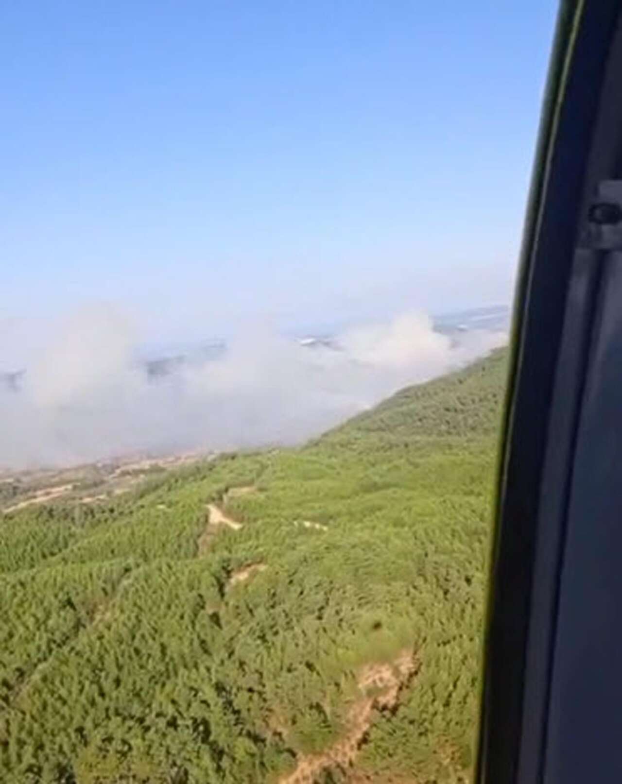 mugla-mentese-orman-yangini