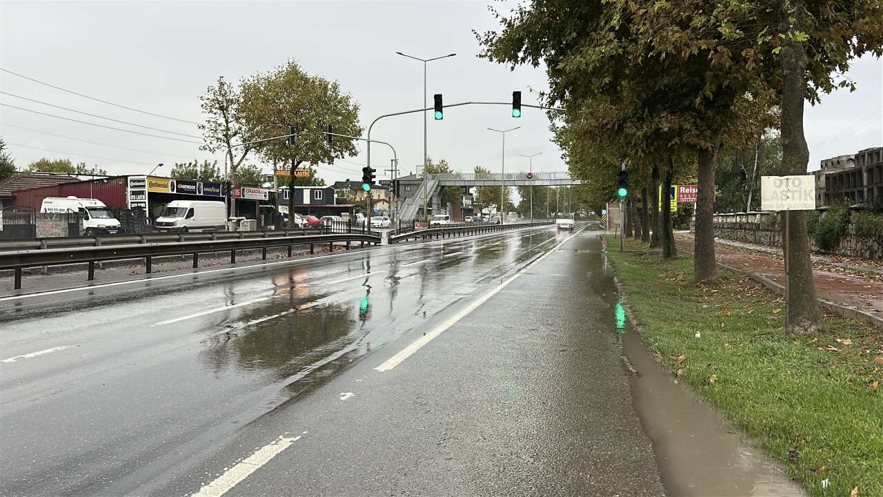 sakarya-adapazari-kopek-saldirisi
