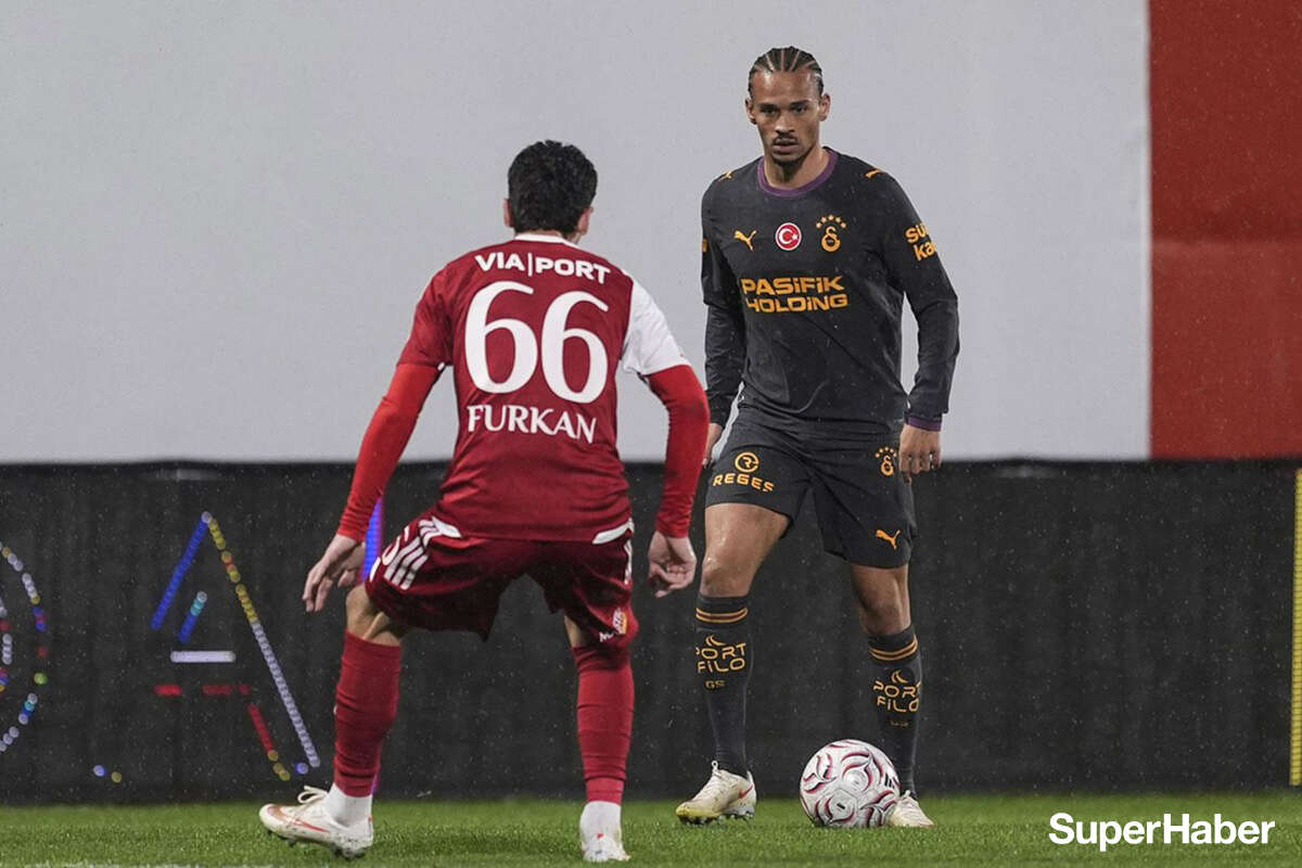 sane