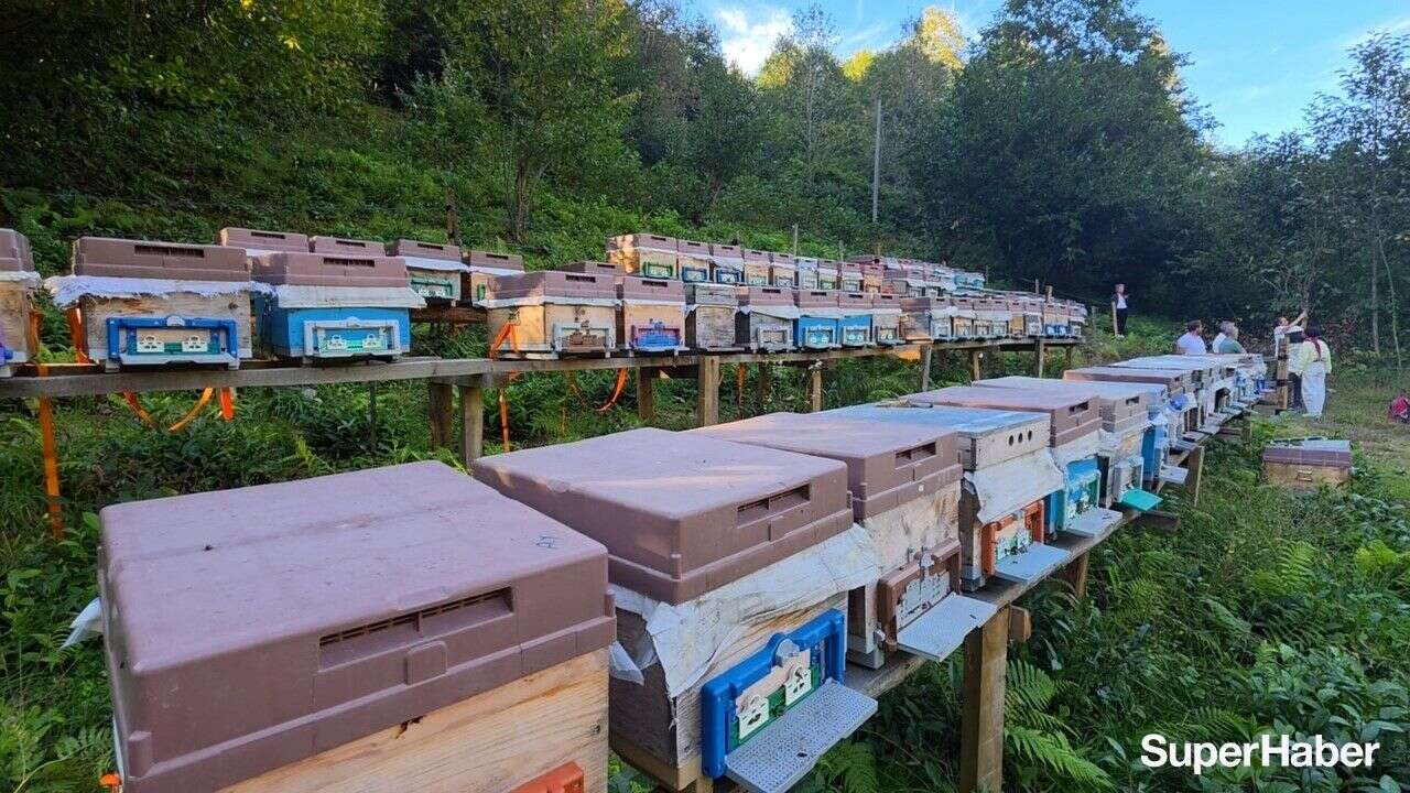 gastronomi-rize