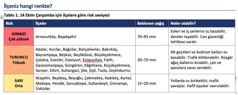 istanbul-yagmur-trafigi-yogunluk